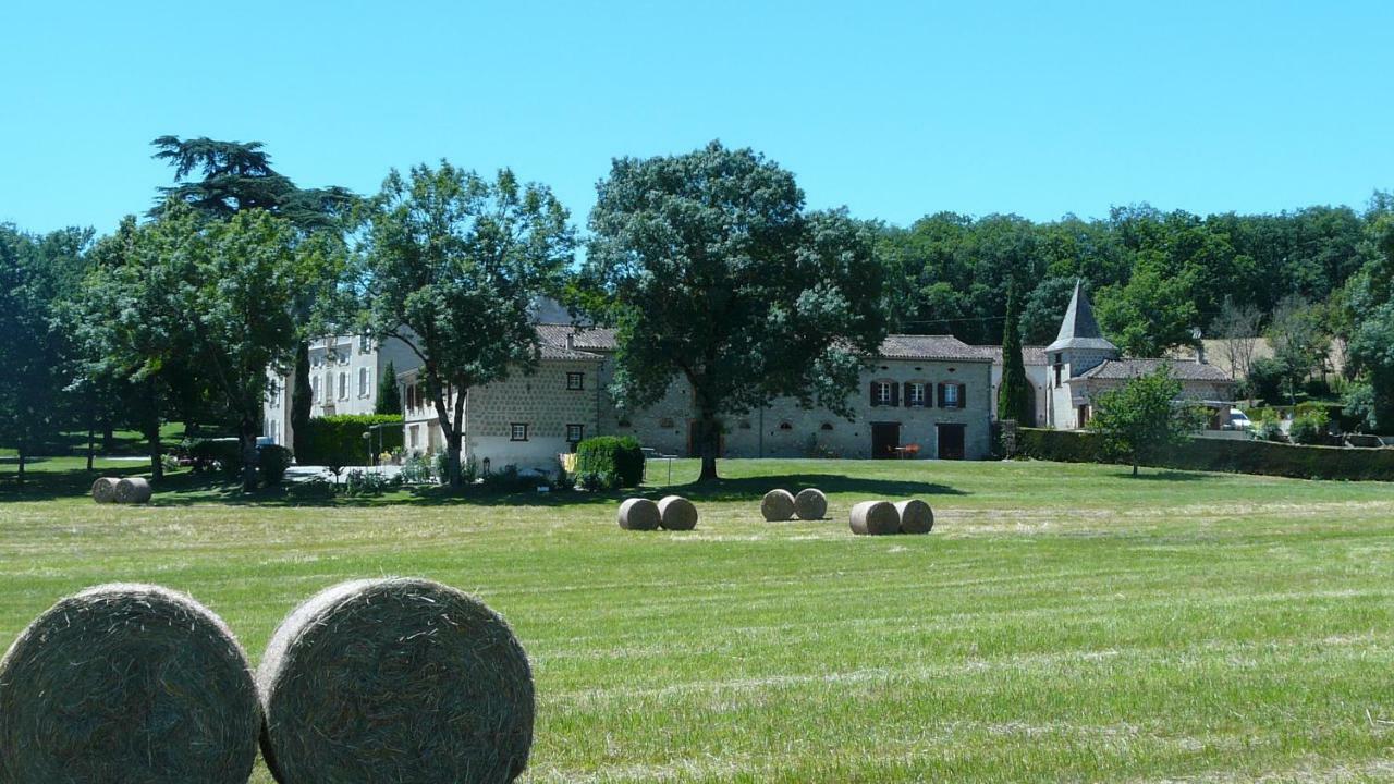 Château de la Bousquetarie Lempaut Exterior foto